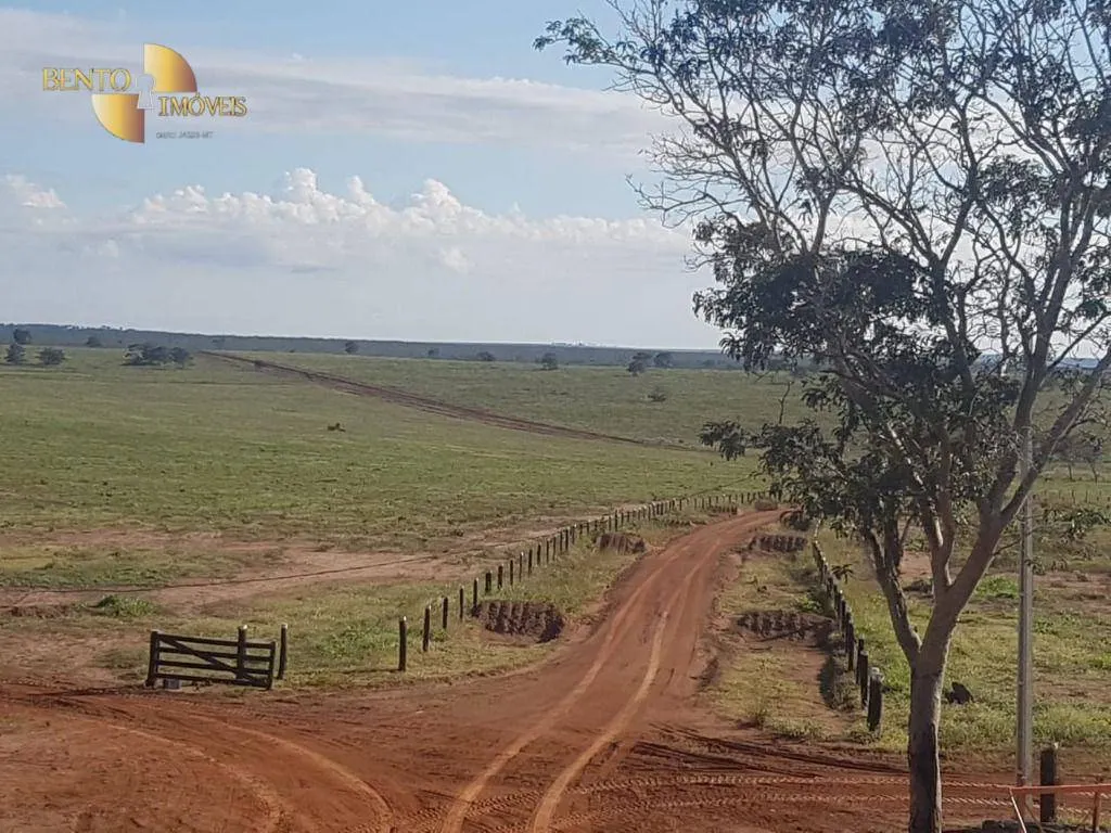 Fazenda à venda de 8.000 ha em Paranatinga, MT, Brasil