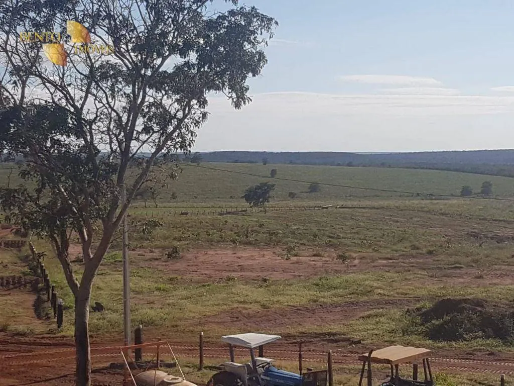 Fazenda à venda de 8.000 ha em Paranatinga, MT, Brasil