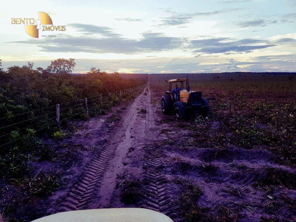 Fazenda à venda de 8.000 ha em Paranatinga, MT, Brasil