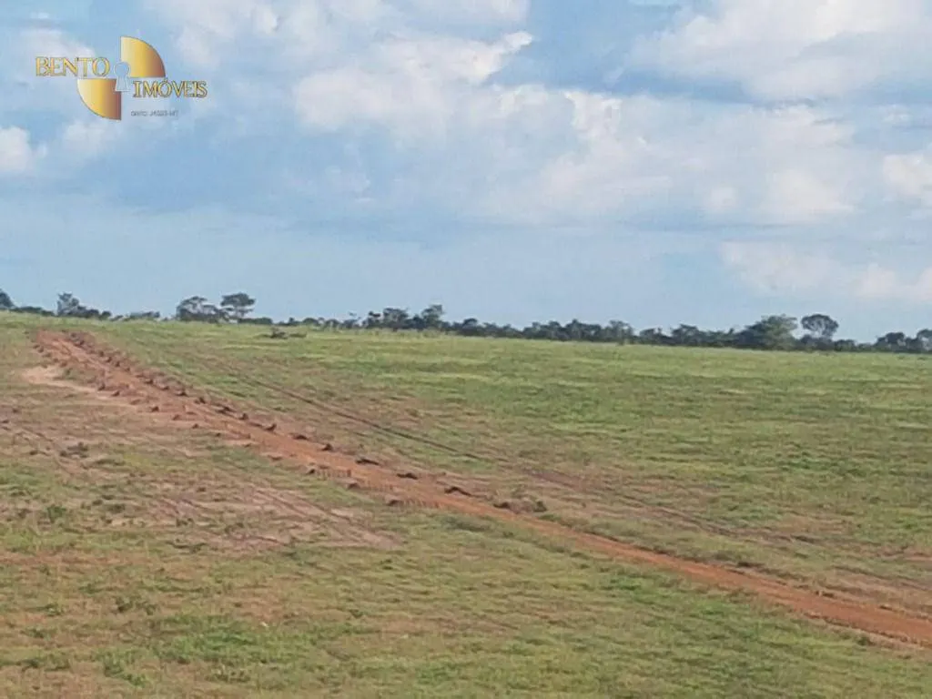 Fazenda à venda de 8.000 ha em Paranatinga, MT, Brasil
