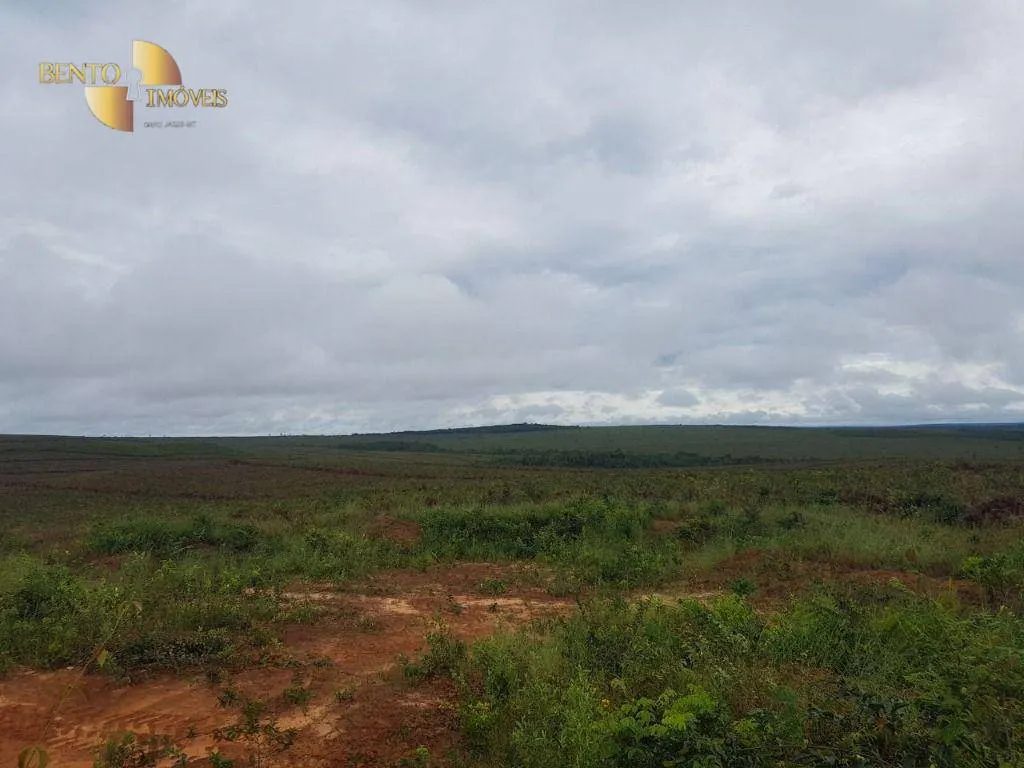 Fazenda à venda de 8.000 ha em Paranatinga, MT, Brasil