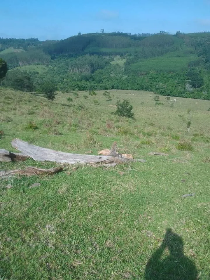 Small farm for sale of 72 acres in Angatuba, SP, Brazil