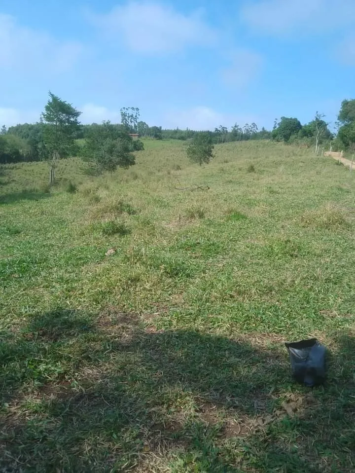 Small farm for sale of 72 acres in Angatuba, SP, Brazil