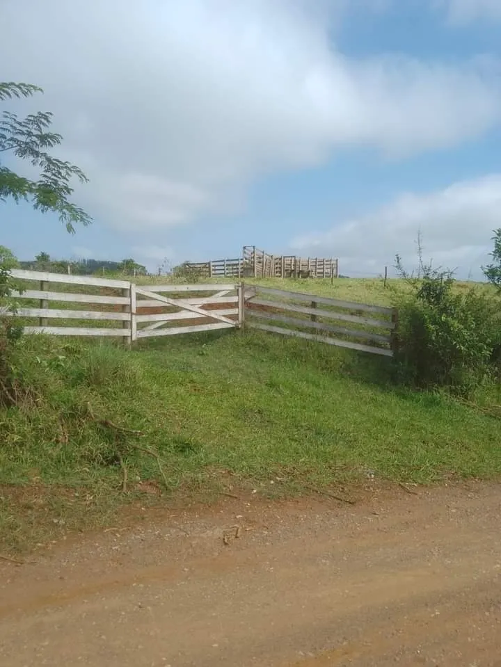 Small farm for sale of 72 acres in Angatuba, SP, Brazil