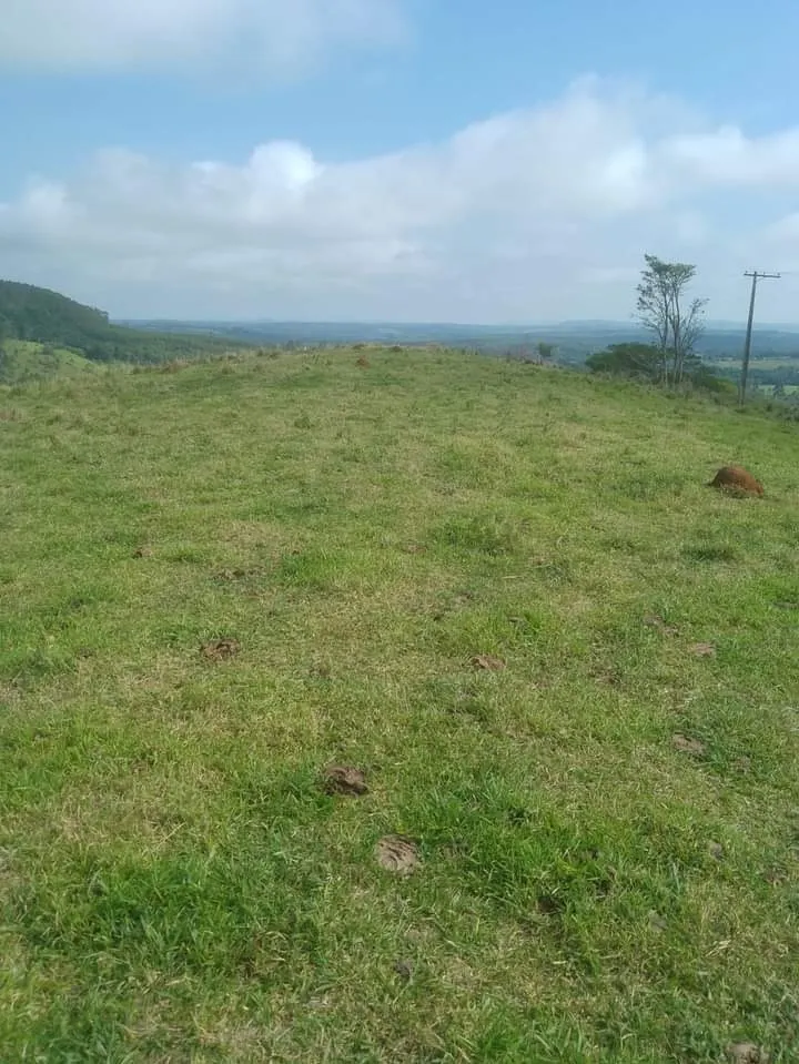 Small farm for sale of 72 acres in Angatuba, SP, Brazil