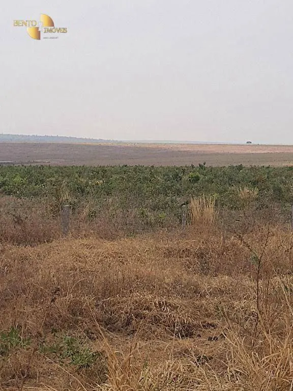 Farm for sale and to rent of 6,178 acres in Primavera do Leste, MT, Brazil