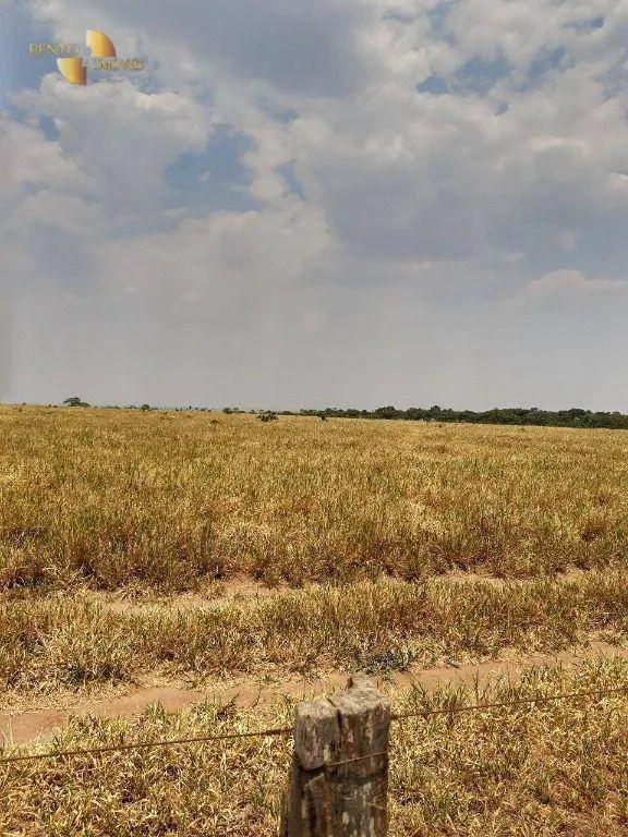 Farm for sale and to rent of 6,178 acres in Primavera do Leste, MT, Brazil