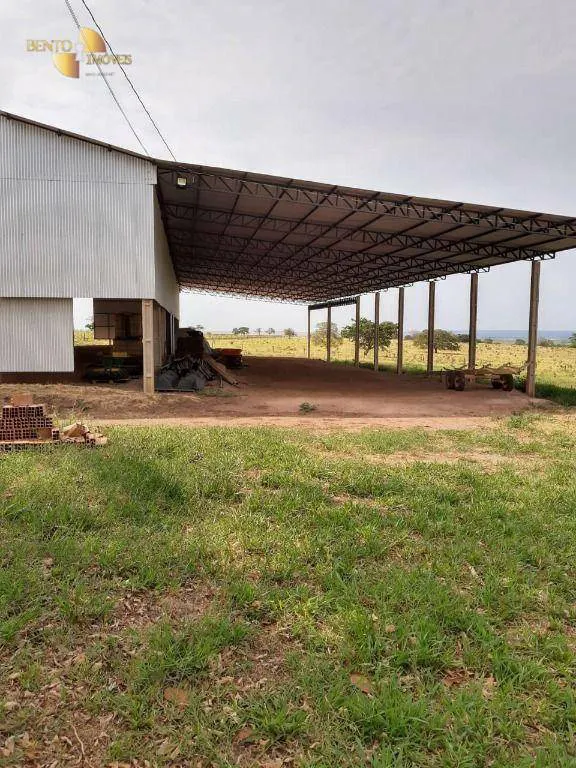 Farm for sale and to rent of 6,178 acres in Primavera do Leste, MT, Brazil