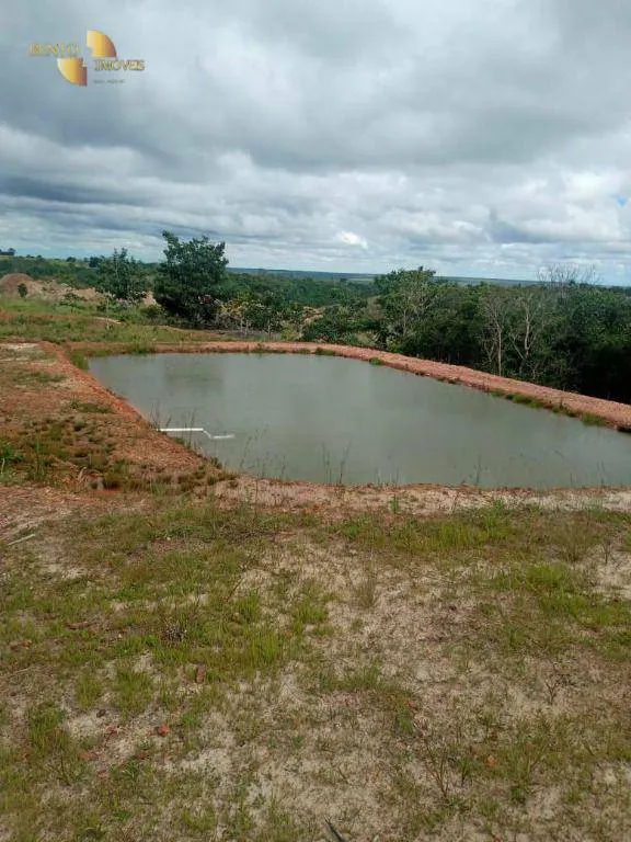 Farm for sale and to rent of 6,178 acres in Primavera do Leste, MT, Brazil