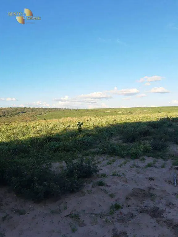 Farm for sale and to rent of 6,178 acres in Primavera do Leste, MT, Brazil