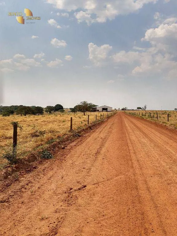 Farm for sale and to rent of 6,178 acres in Primavera do Leste, MT, Brazil