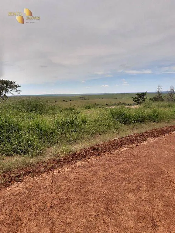 Farm for sale and to rent of 6,178 acres in Primavera do Leste, MT, Brazil