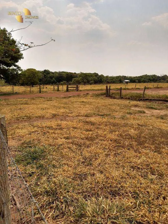 Farm for sale and to rent of 6,178 acres in Primavera do Leste, MT, Brazil