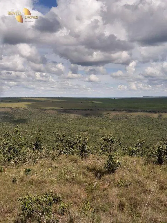 Farm for sale and to rent of 6,178 acres in Primavera do Leste, MT, Brazil