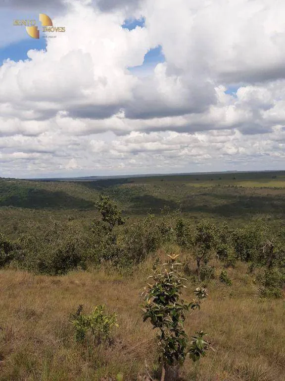 Farm for sale and to rent of 6,178 acres in Primavera do Leste, MT, Brazil