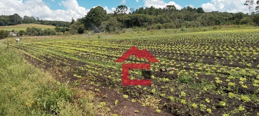 Fazenda à venda de 97 ha em Mairinque, SP, Brasil