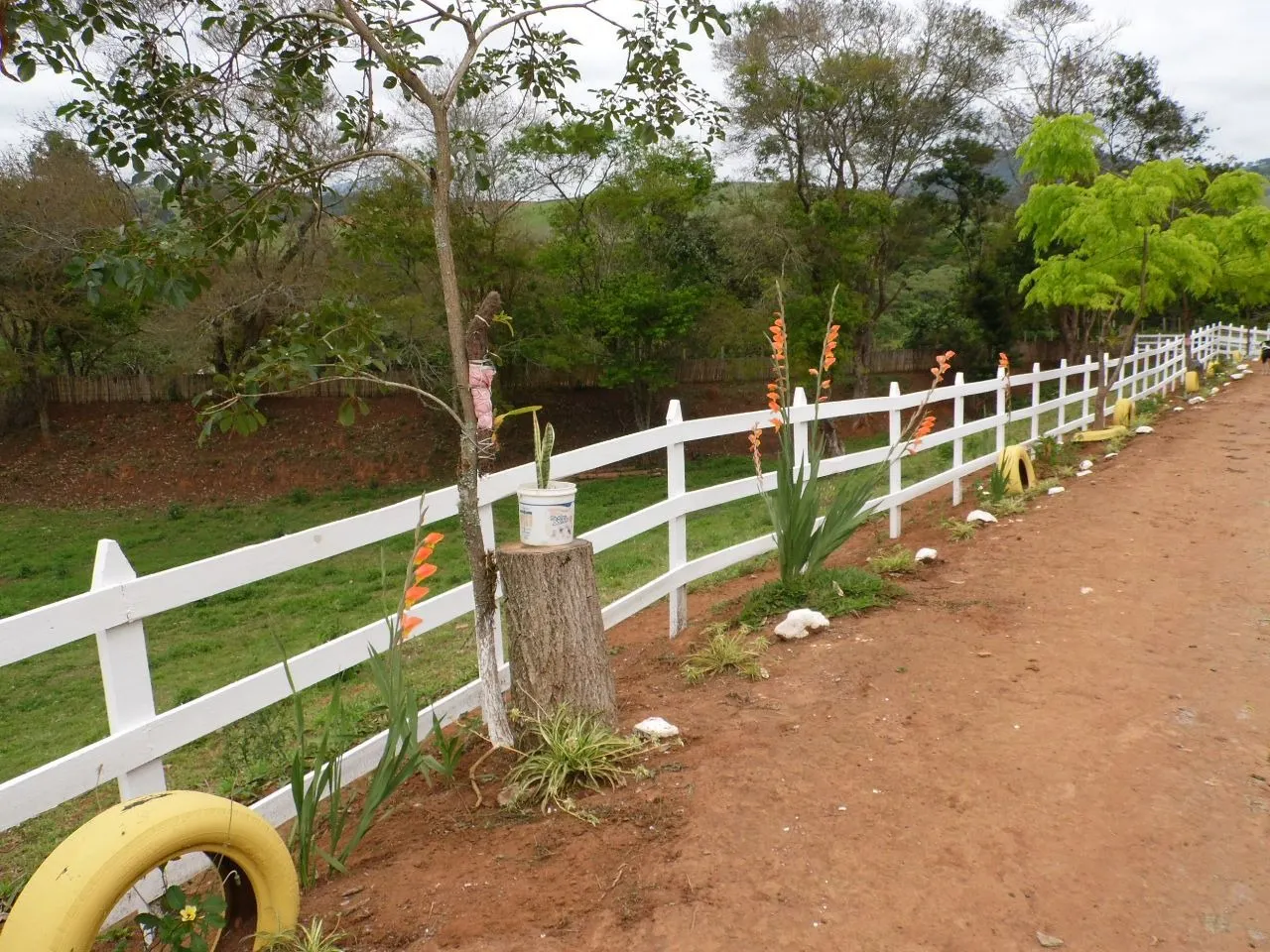 Small farm for sale of 24 acres in Paraisópolis, MG, Brazil