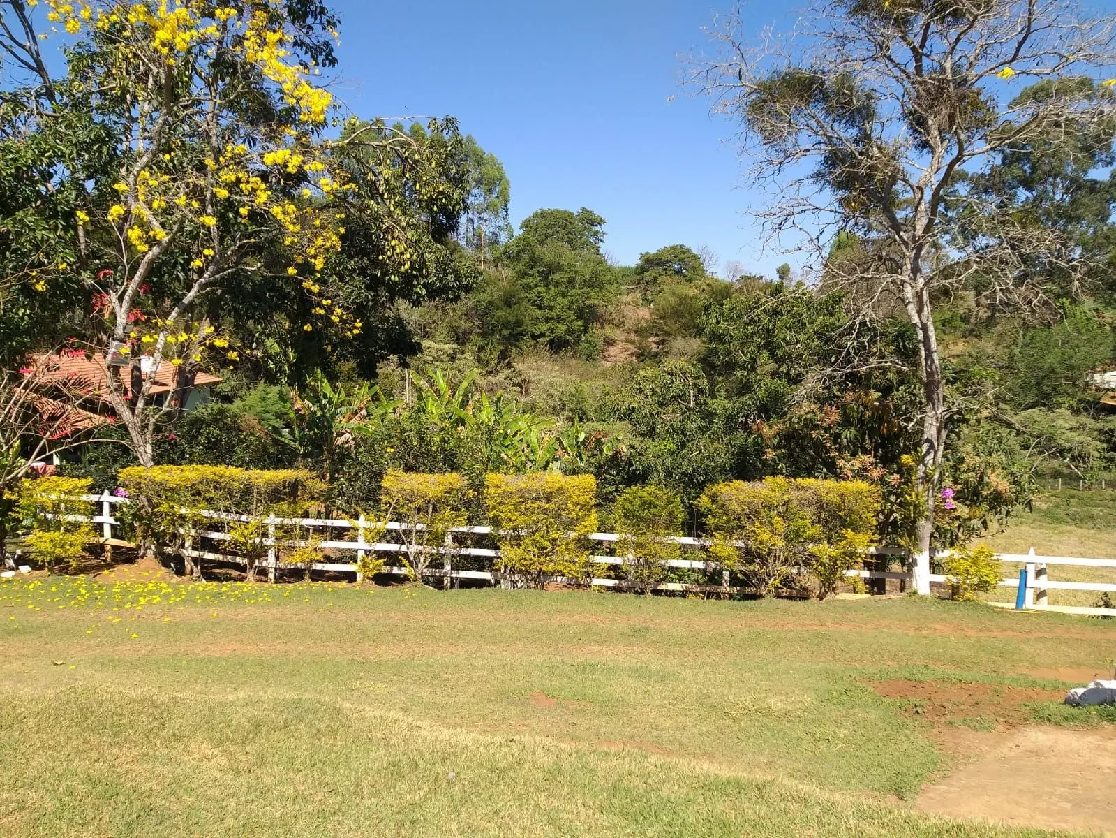 Small farm for sale of 24 acres in Paraisópolis, MG, Brazil