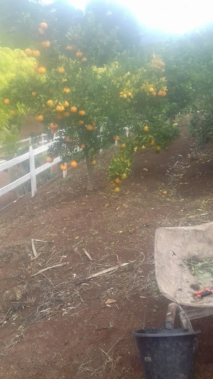 Small farm for sale of 24 acres in Paraisópolis, MG, Brazil
