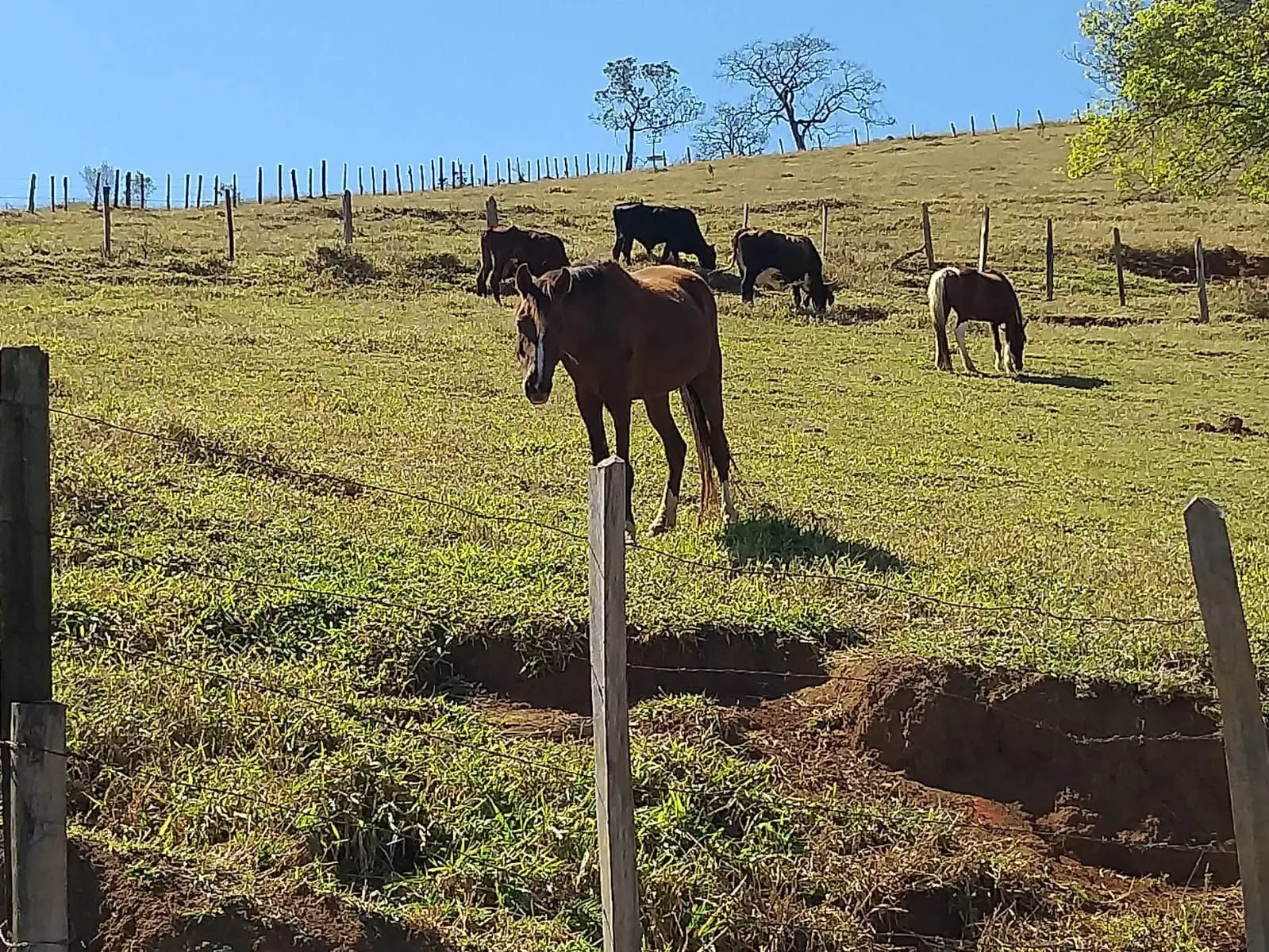 Small farm for sale of 24 acres in Paraisópolis, MG, Brazil