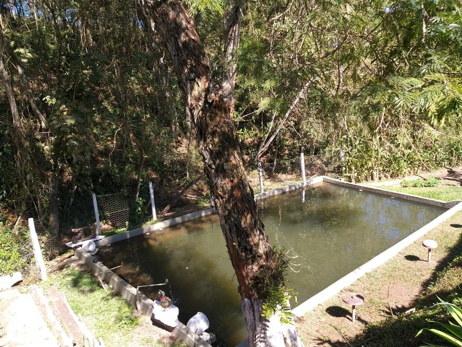 Small farm for sale of 24 acres in Paraisópolis, MG, Brazil