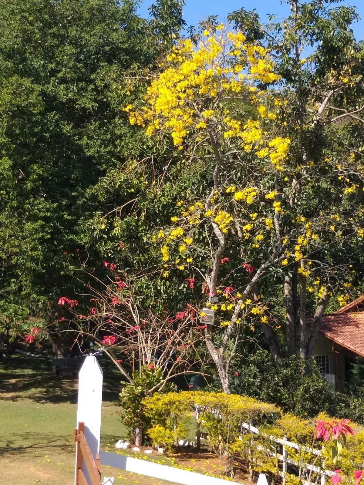 Small farm for sale of 24 acres in Paraisópolis, MG, Brazil