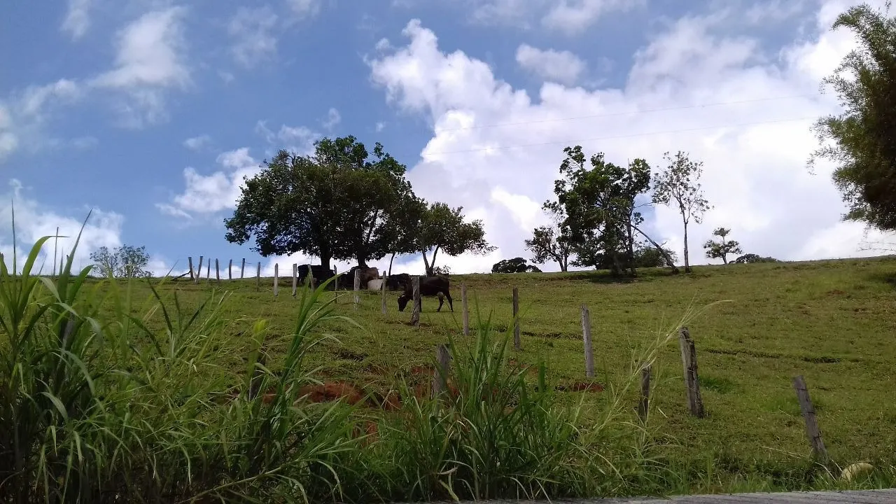 Small farm for sale of 24 acres in Paraisópolis, MG, Brazil