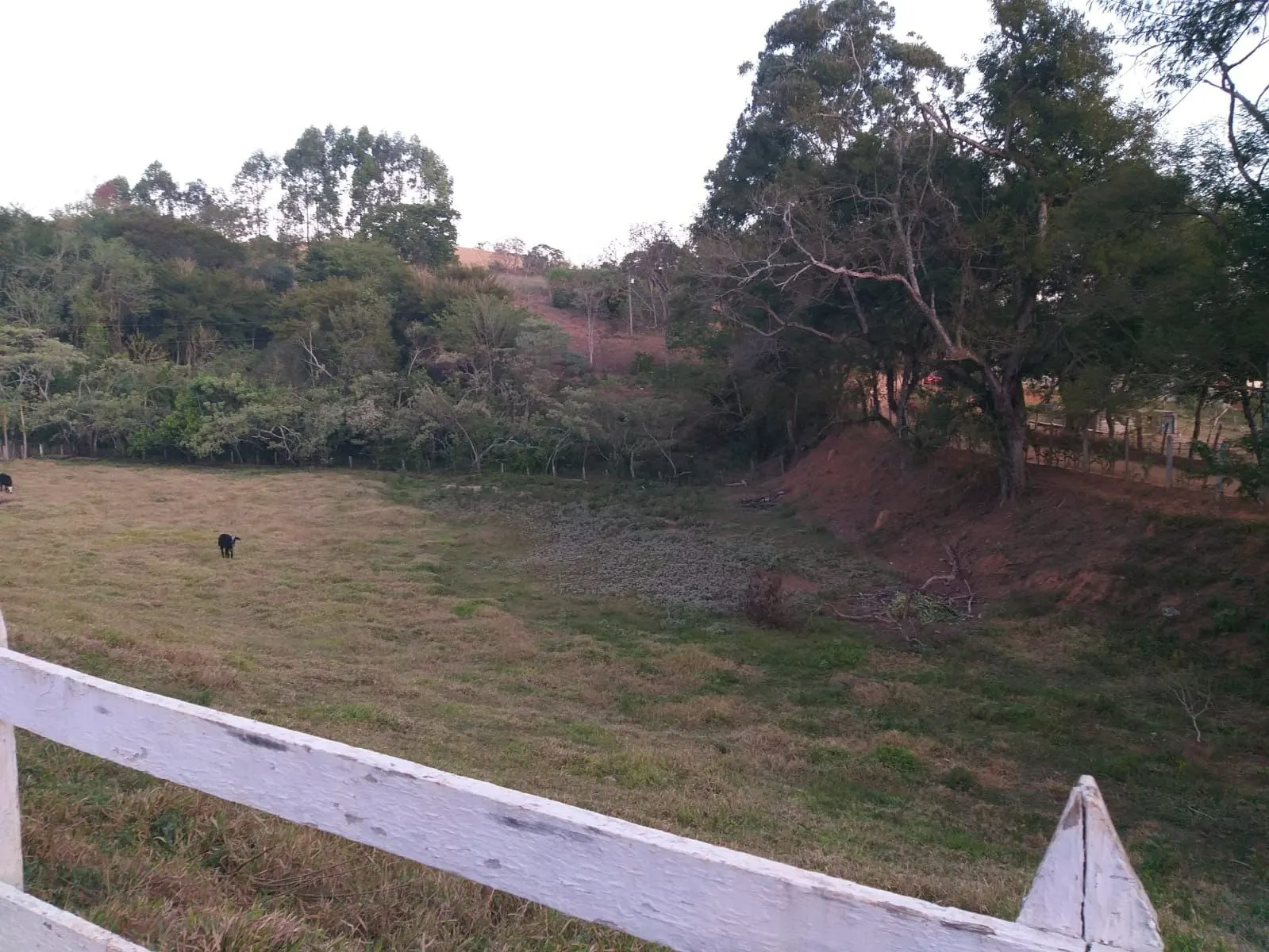 Small farm for sale of 24 acres in Paraisópolis, MG, Brazil