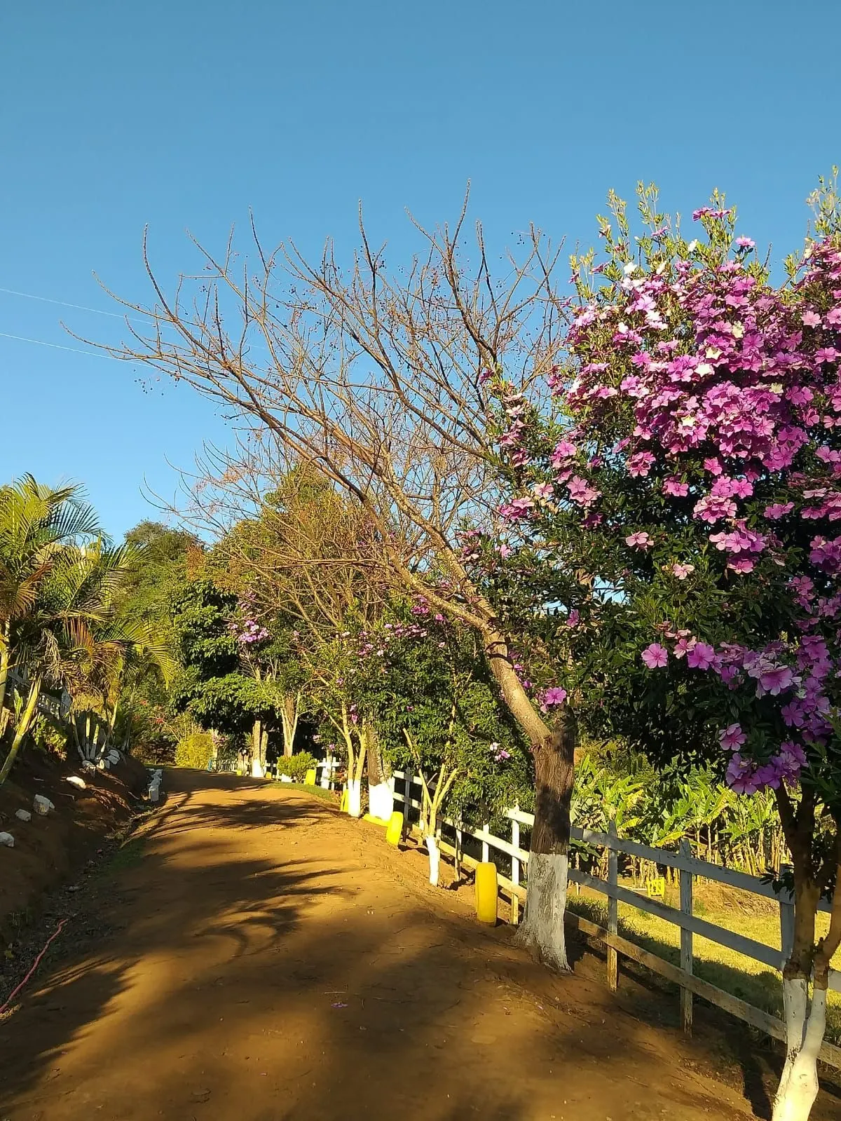 Small farm for sale of 24 acres in Paraisópolis, MG, Brazil