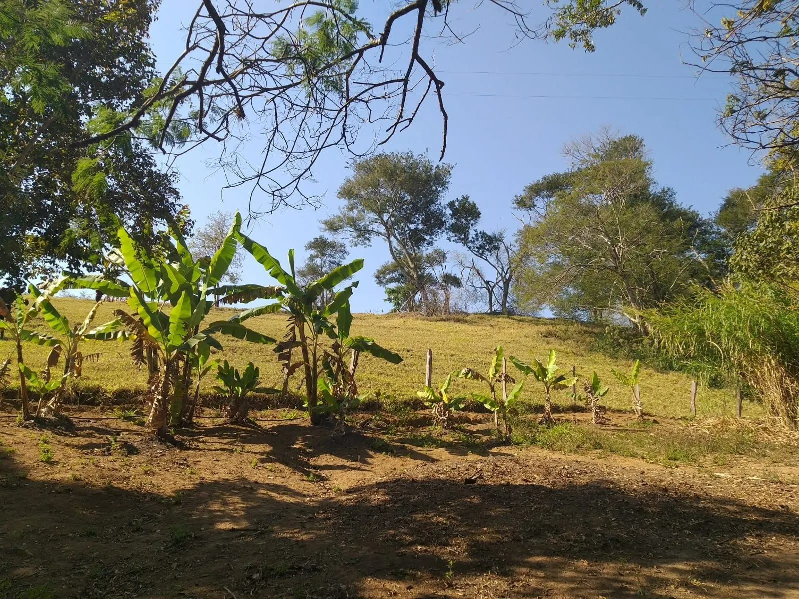 Small farm for sale of 24 acres in Paraisópolis, MG, Brazil