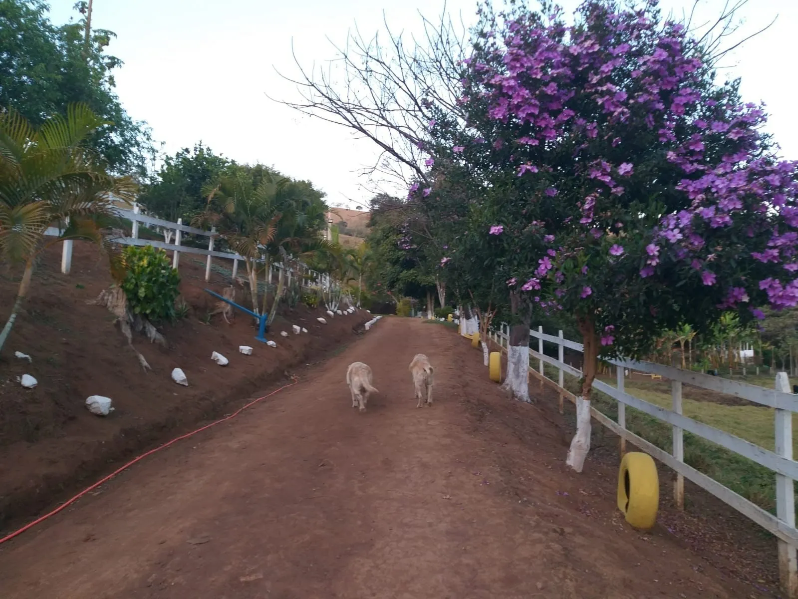Small farm for sale of 24 acres in Paraisópolis, MG, Brazil
