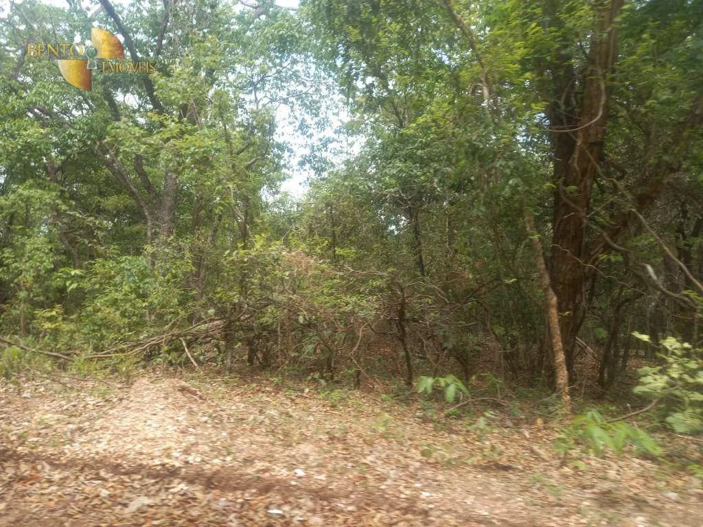 Fazenda à venda de 1.629 ha em Poconé, MT, Brasil