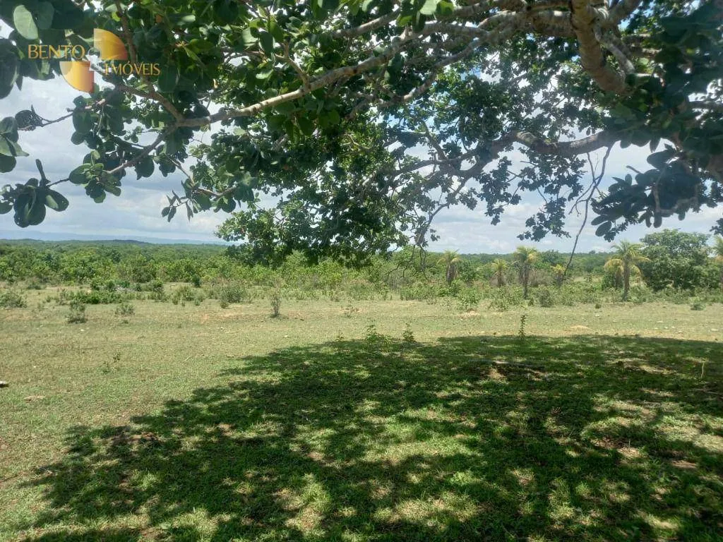 Fazenda à venda de 1.629 ha em Poconé, MT, Brasil