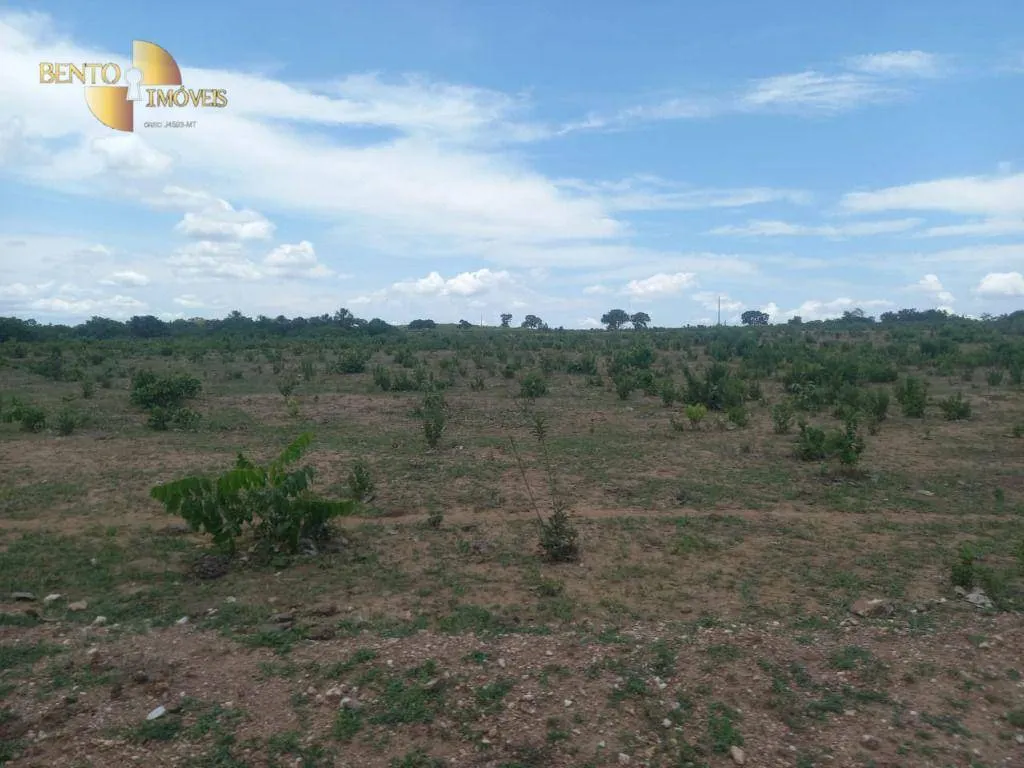 Fazenda à venda de 1.629 ha em Poconé, MT, Brasil