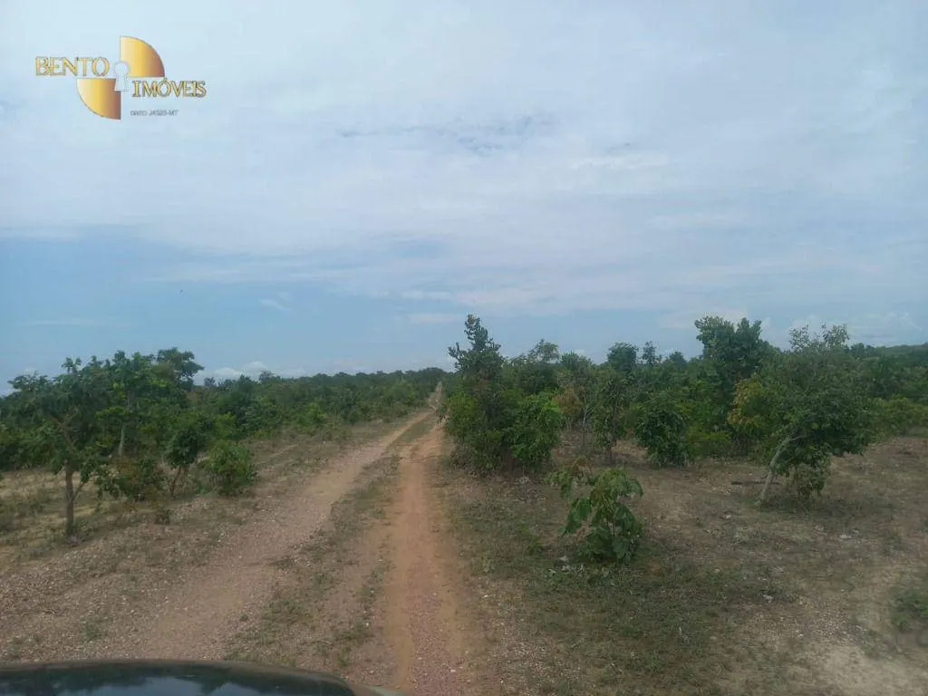 Fazenda à venda de 1.629 ha em Poconé, MT, Brasil