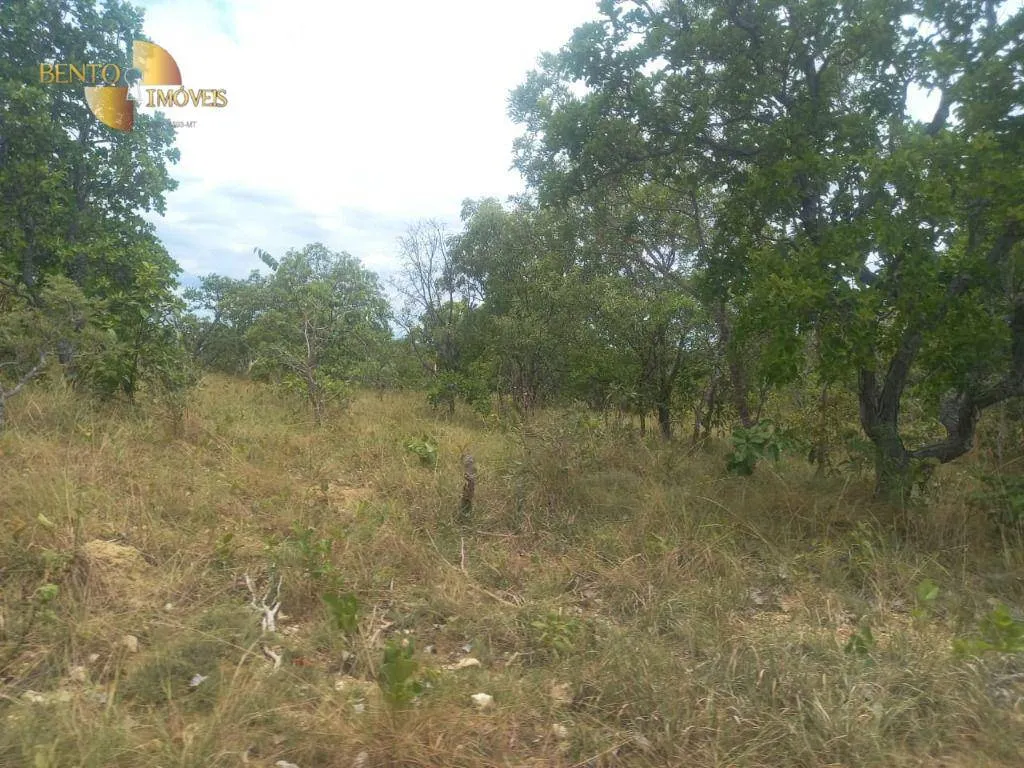 Fazenda à venda de 1.629 ha em Poconé, MT, Brasil