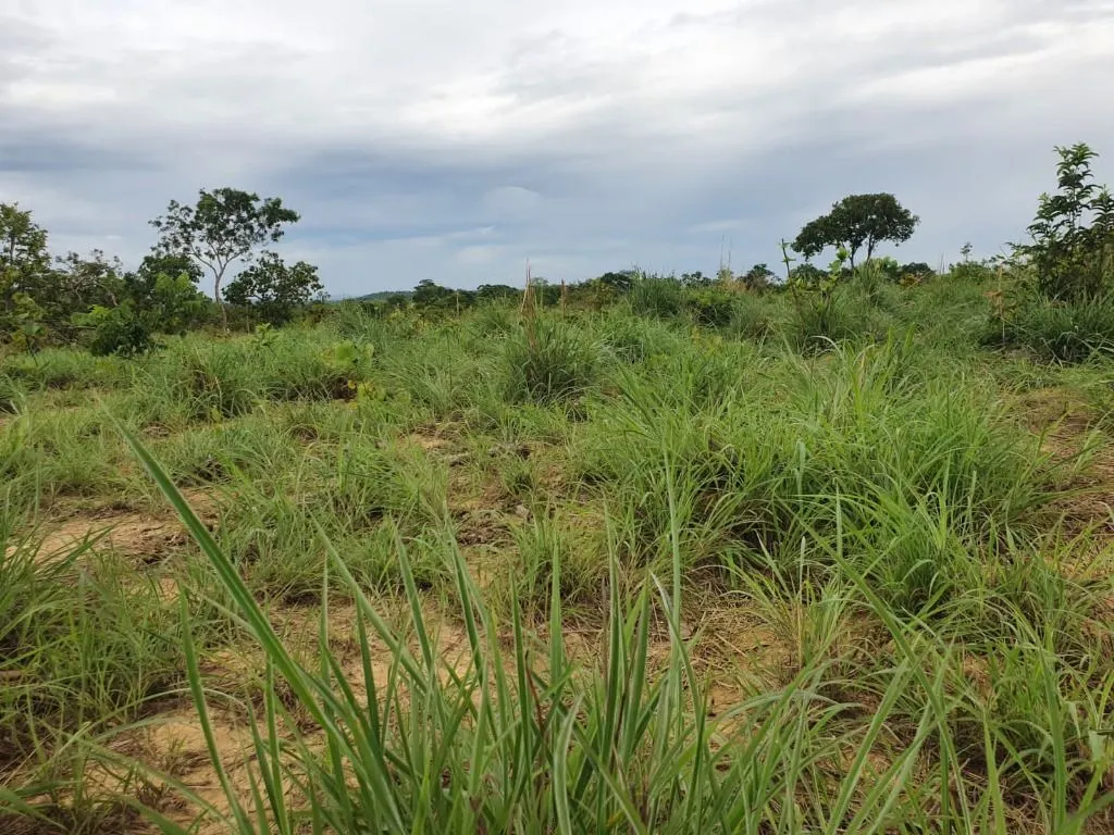 Sítio à venda de 70 ha em Nobres, MT, Brasil