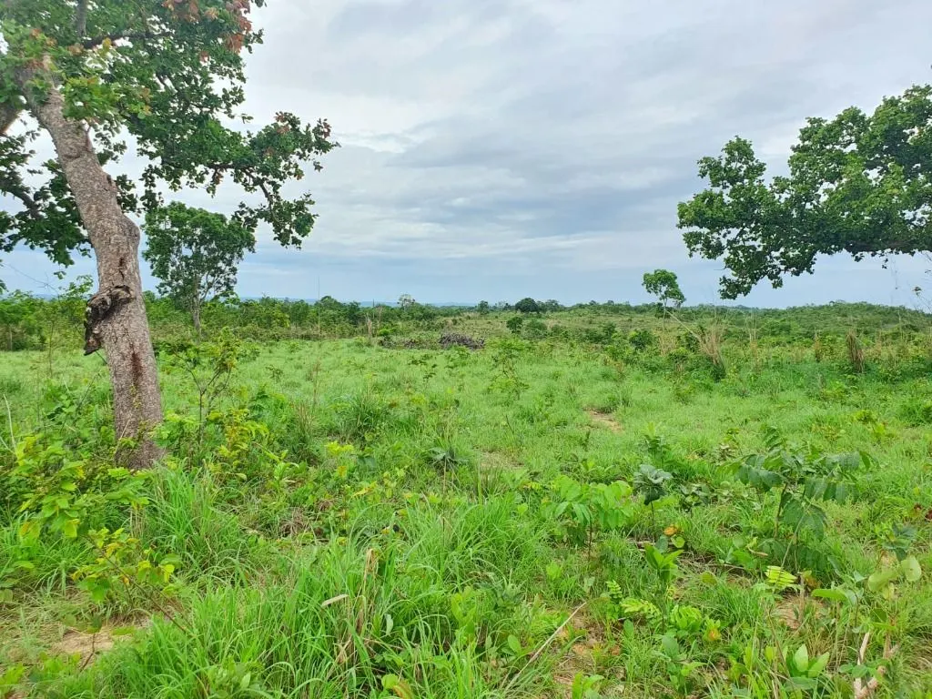 Sítio à venda de 70 ha em Nobres, MT, Brasil