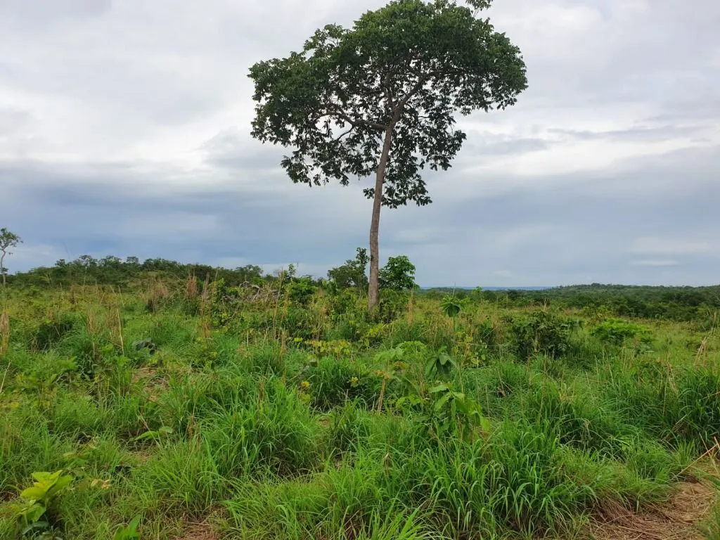 Sítio à venda de 70 ha em Nobres, MT, Brasil