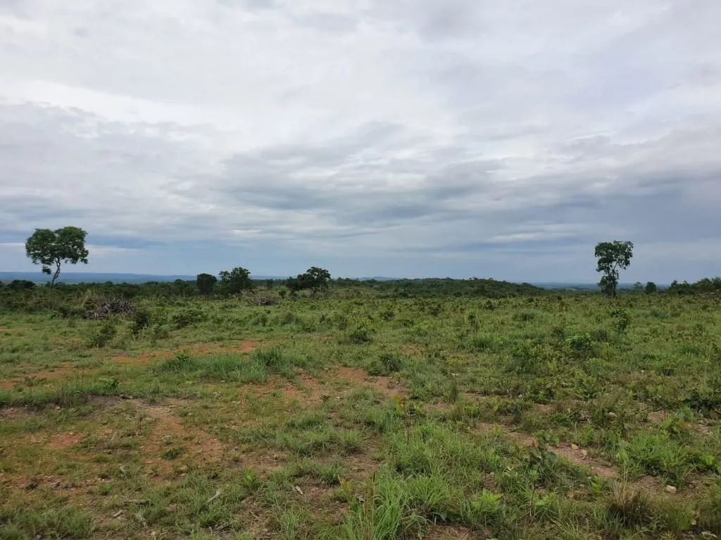 Sítio à venda de 70 ha em Nobres, MT, Brasil