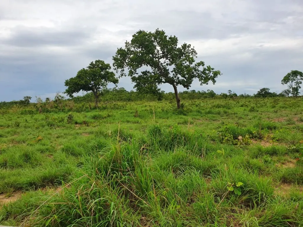 Sítio à venda de 70 ha em Nobres, MT, Brasil