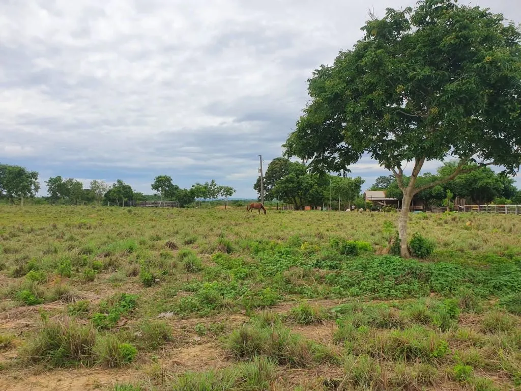 Sítio à venda de 70 ha em Nobres, MT, Brasil