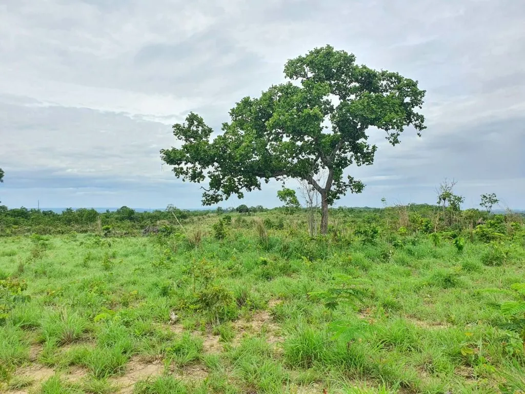 Sítio à venda de 70 ha em Nobres, MT, Brasil