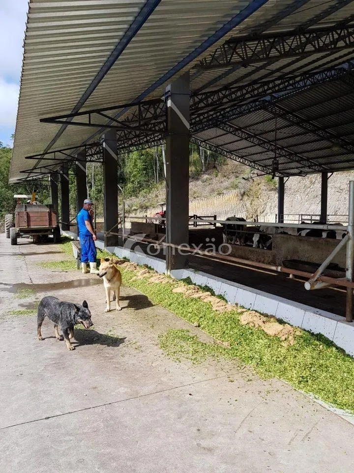 Fazenda à venda de 120 ha em São Luiz do Paraitinga, SP, Brasil