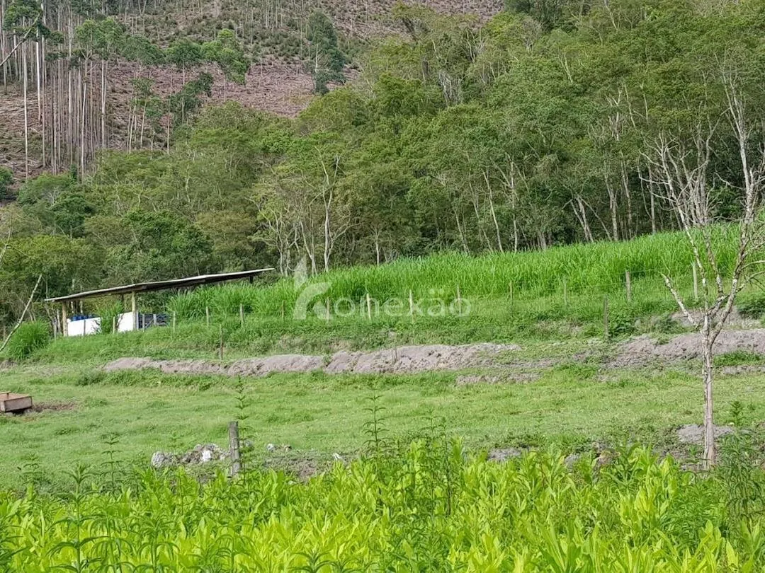 Fazenda à venda de 120 ha em São Luiz do Paraitinga, SP, Brasil