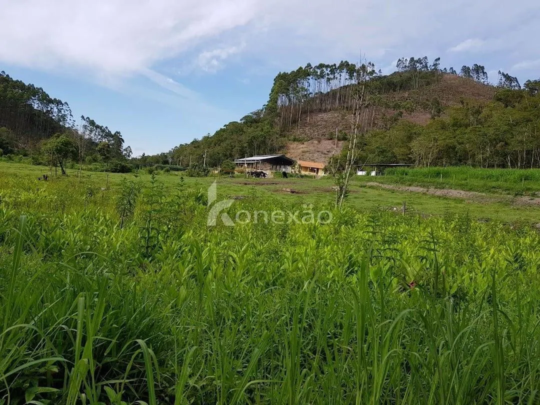 Fazenda à venda de 120 ha em São Luiz do Paraitinga, SP, Brasil