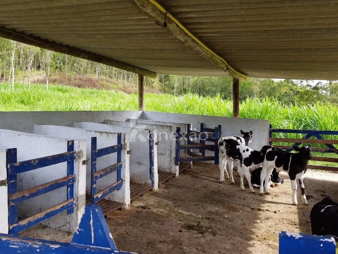 Fazenda à venda de 120 ha em São Luiz do Paraitinga, SP, Brasil