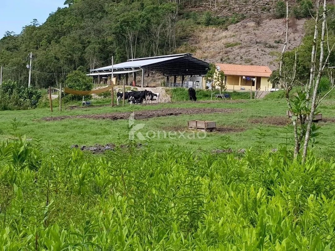 Fazenda à venda de 120 ha em São Luiz do Paraitinga, SP, Brasil