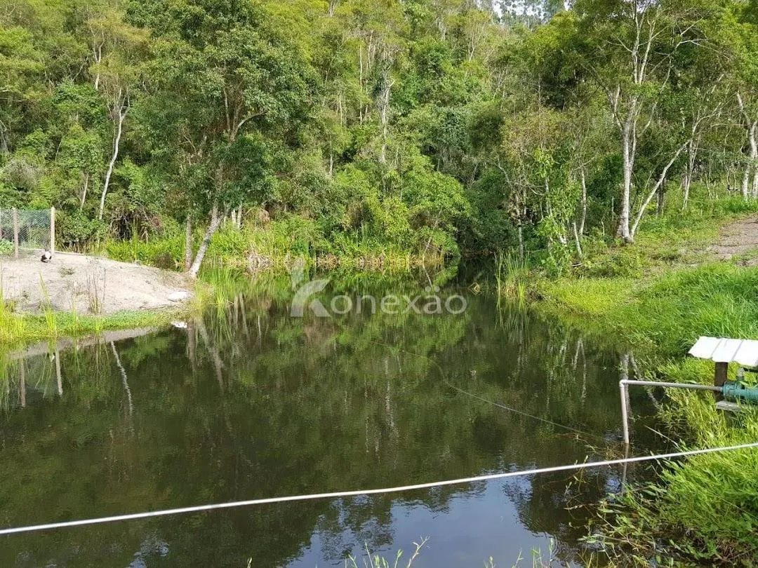 Fazenda à venda de 120 ha em São Luiz do Paraitinga, SP, Brasil