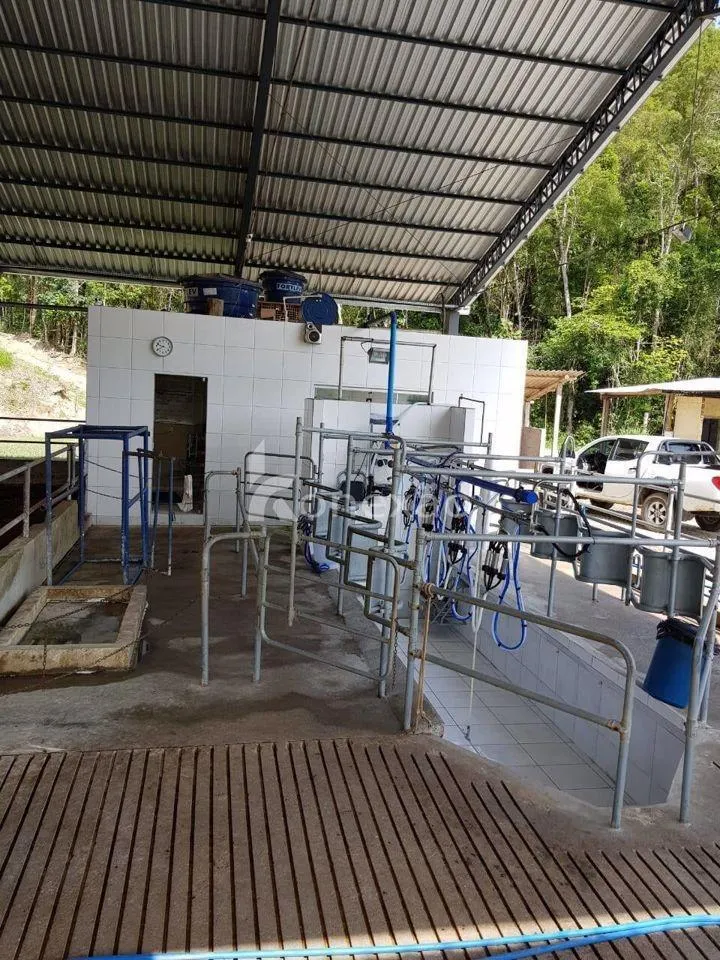 Fazenda à venda de 120 ha em São Luiz do Paraitinga, SP, Brasil